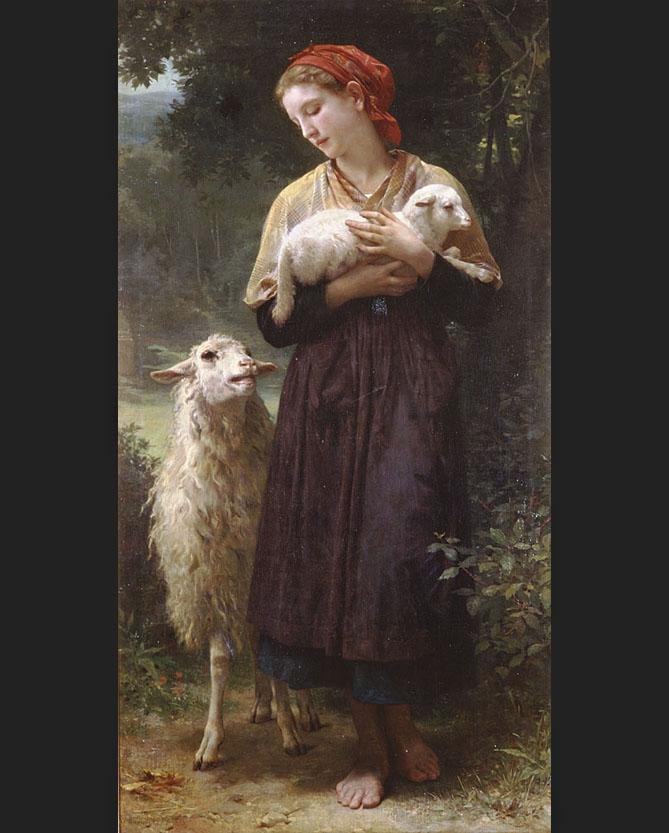 Lamb Canvas Paintings